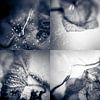 Frozen Collage II van Rob van der Pijll