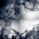 Frozen Collage II van Rob van der Pijll thumbnail