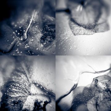 Frozen Collage II von Rob van der Pijll