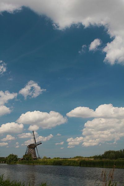 Windmühle im Holländischen Licht von Martijn Stoppels