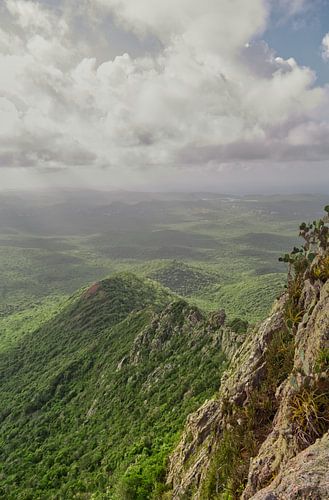 Au sommet du Mont Christoffel