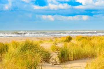 Sanddünen am Nordseestrand auf der Insel Texel