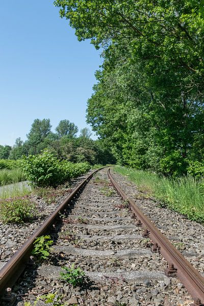 Abandoned train track through the forest by Patrick Verhoef