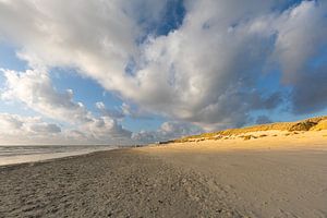 Soleil sur les dunes de l'Ameland