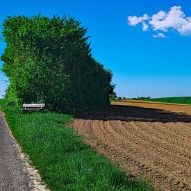 Mein Lieblingsplatz von Thomas Riess