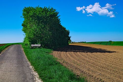 Mein Lieblingsplatz von Thomas Riess