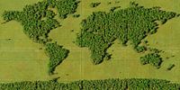 Wereldkaart Bos van Frans Blok - foto's, kunst en andere wanddecoratie thumbnail