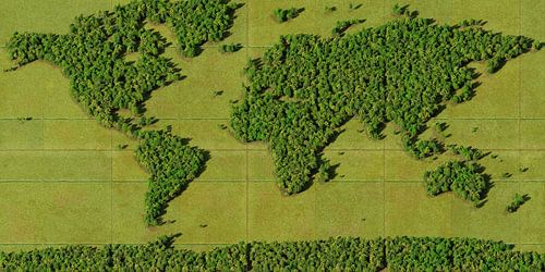 Wereldkaart Bos