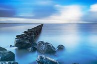 Wadden Meer nahe Holwerd, die Niederlande. von AGAMI Photo Agency Miniaturansicht