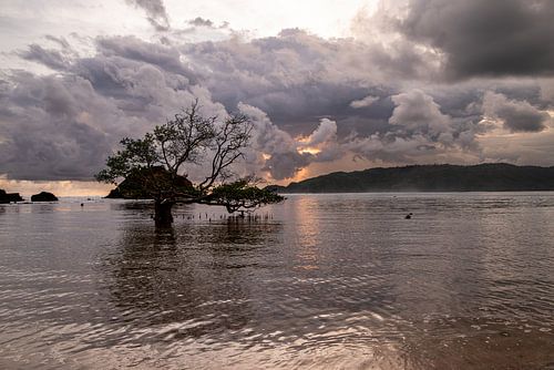 Gewitter im Anmarsch von Peter Timmerman