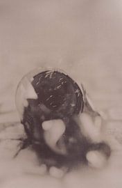 Hipsterhausen _ 24 by Johannes Wobus