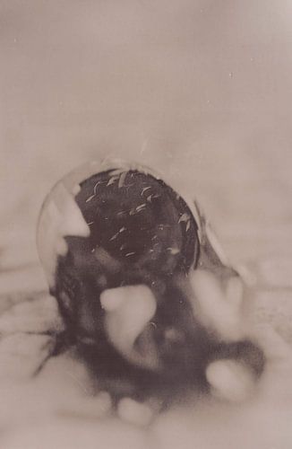 Hipsterhausen _ 24