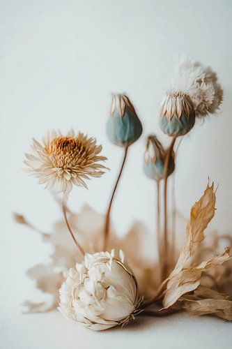 Impression de fleurs sèches