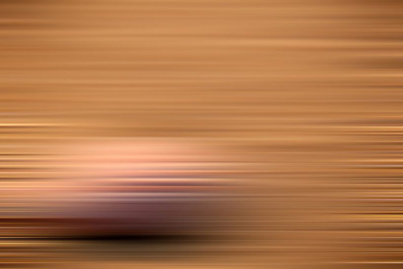 Abstract Nature by Stefan Dinse