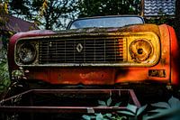 Renault 4 abandoned, abandoned yard.