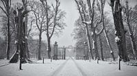 The driveway including gate in the snow, Chateau Marquette by Paul Beentjes thumbnail