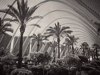 Valencia