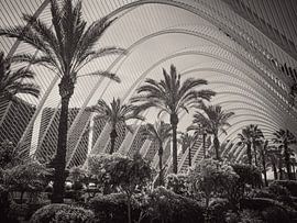 Valencia van Bianca  Hinnen