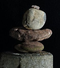 Kleine Streuner, Komposition 2 von Hans van der Putten