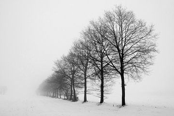 einsamer Baum im Winter von Gert Hilbink