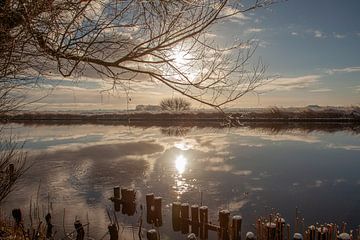 landschaft reif in driesum friesland2