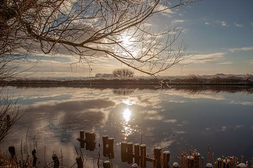landscape ripe in driesum friesland2