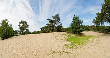 Dérive de sable du domaine de Lievensberg à Bergen op Zoom (panorama, SHQ) sur Fotografie Jeronimo