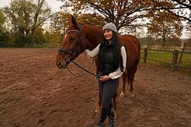 Training with the bay Oldenburg mare on a riding arena