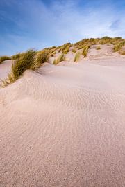 Maasvlakte 24 by Deshamer