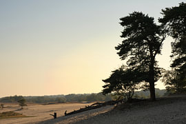Lumière du matin sur les dunes sur Vague & Form