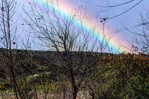 regenboog