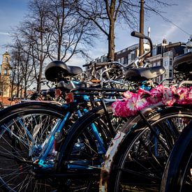 Amsterdamse fietsen van Dutch Creator