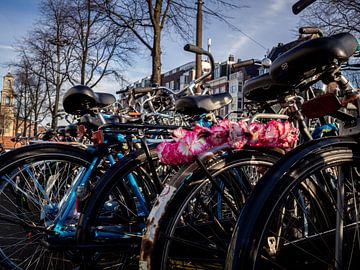 Amsterdamse fietsen