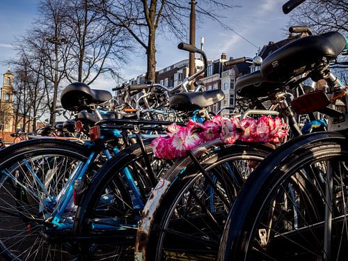 Amsterdamse fietsen van Dutch Creator