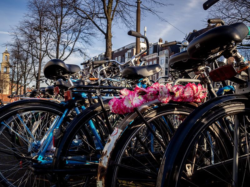Amsterdam Fahrräder von Dutch Creator