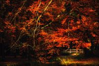 Baarn, Groeneveld Castle