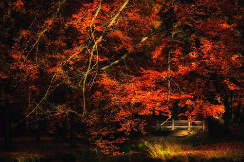 Baarn, Kasteel Groeneveld