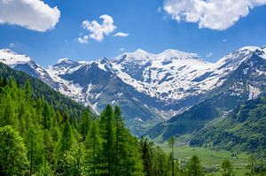 Alpen in Österreich im Frühling