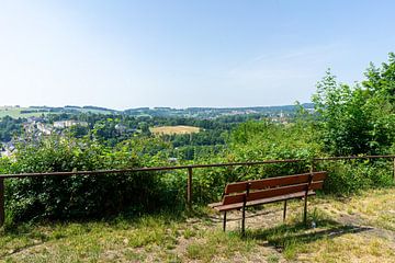 Uitzicht over het Vogtland in Saksen van Animaflora PicsStock