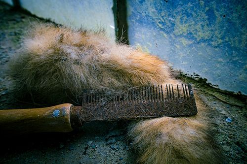 Traces of the Past – Rusted Comb and Forgotten Fur
