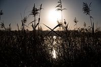 Die Wintersonne 5