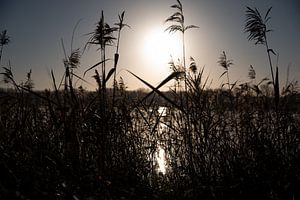Le soleil d'hiver 5