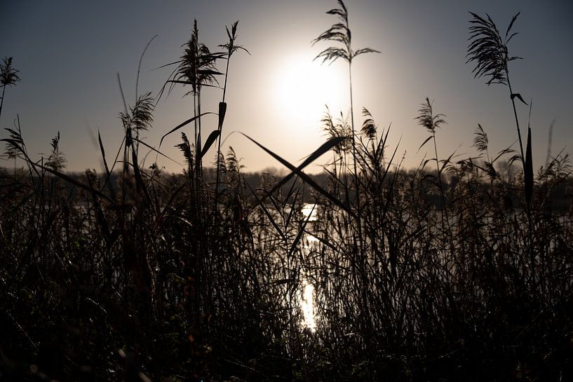 Die Wintersonne 5 von GyGa foto's