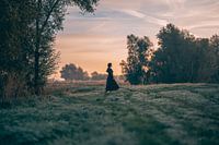 Mystieke morgen