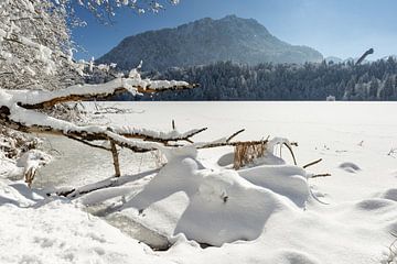 de Freibergsee en daarachter de Himmelschrofen in de winter van Walter G. Allgöwer