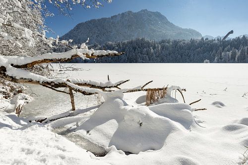 de Freibergsee en daarachter de Himmelschrofen in de winter