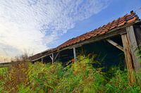 The shed at the Rommelpot (Den Hoorn, Texel)