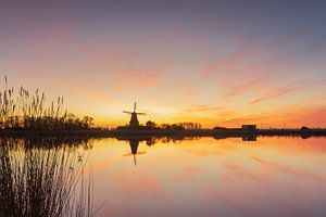Explosion de couleurs au bord de l'eau lors d'un hiver froid, où derrière les roseaux le moulin apparaît à l'horizon.