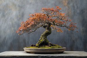 Ein schöner Ahorn-Bonsai steht im Mittelpunkt