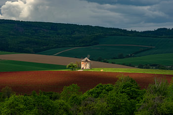 Historic Windmill in Crimson Clover Fields - Moravian Tuscany Wall Art